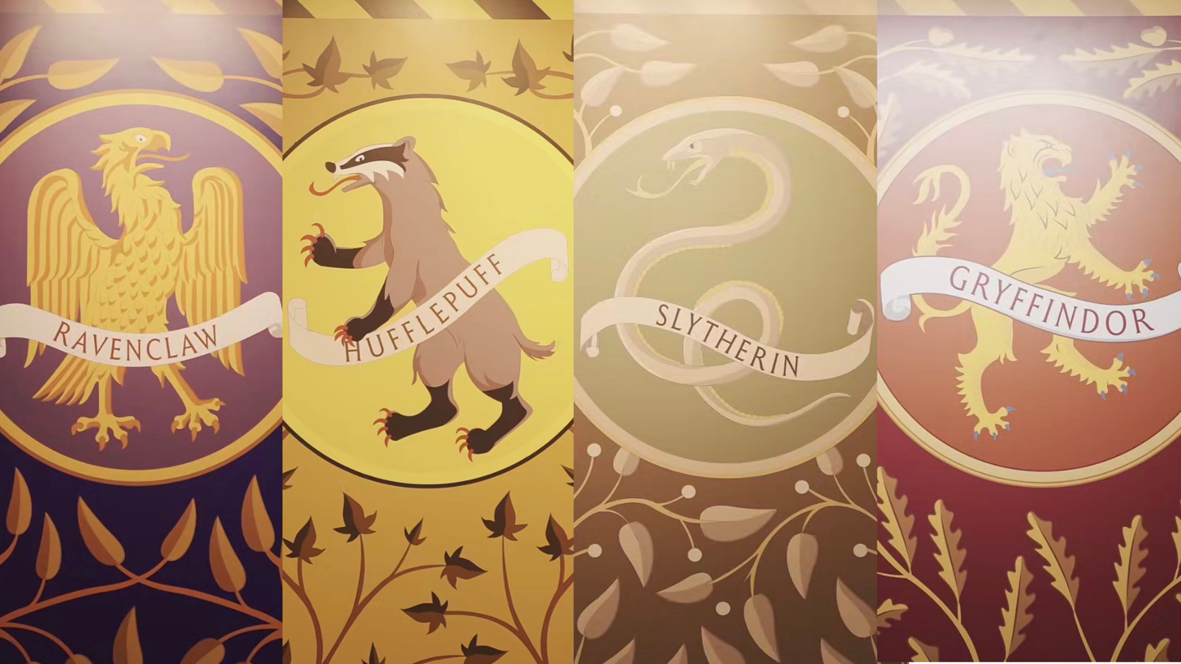 Harry Potter HBO Serie