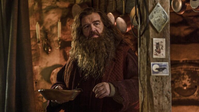 Nick Frost Hagrid