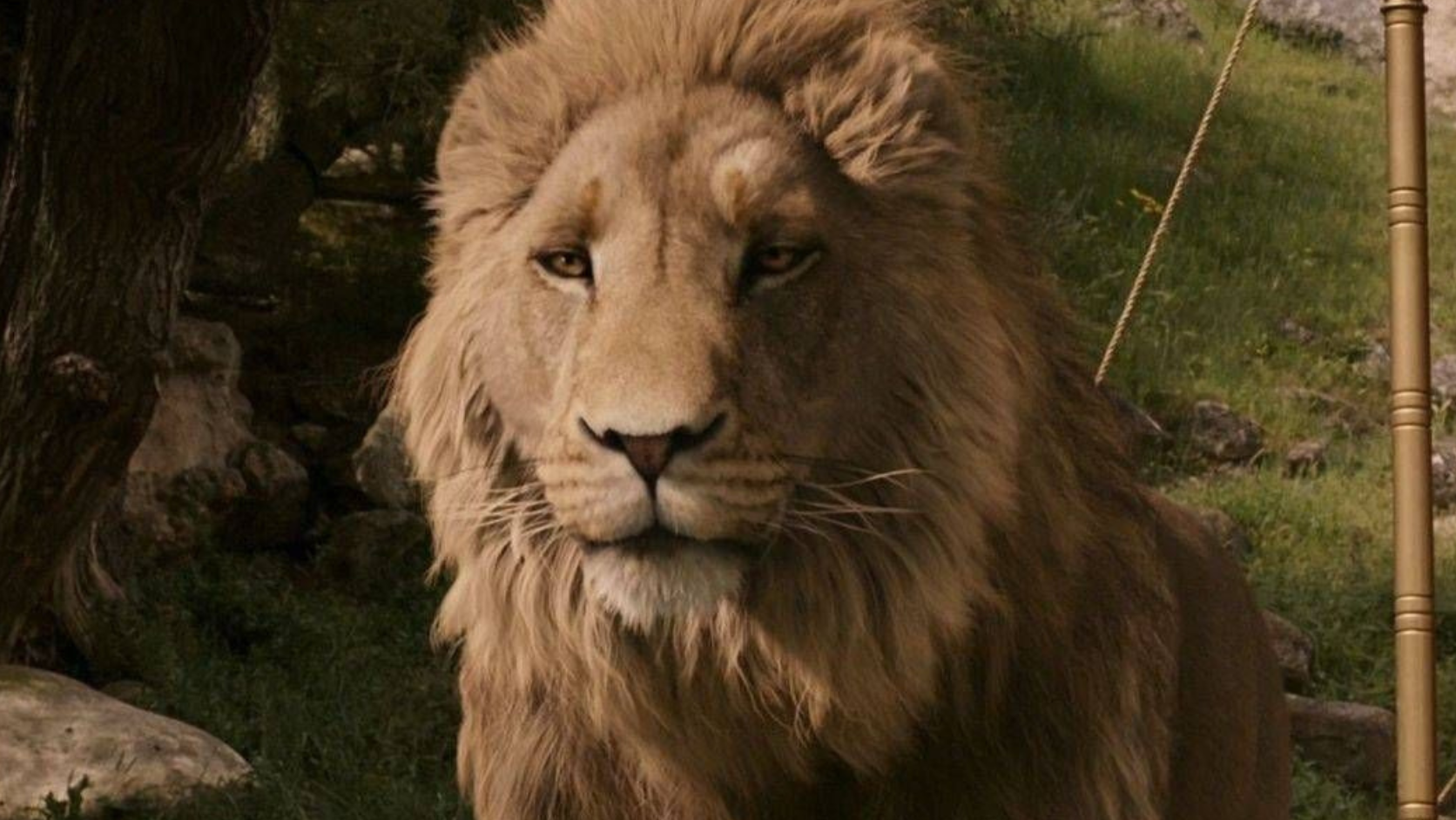 Narnia Trailer Rekord